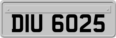 DIU6025
