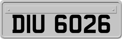 DIU6026