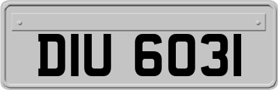 DIU6031