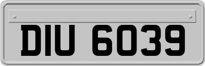 DIU6039