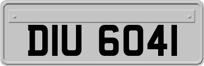 DIU6041