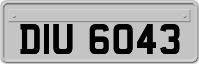 DIU6043