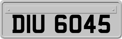 DIU6045
