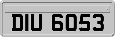 DIU6053