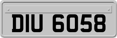 DIU6058