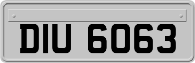 DIU6063