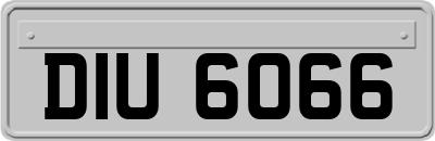 DIU6066