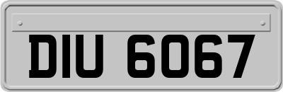 DIU6067