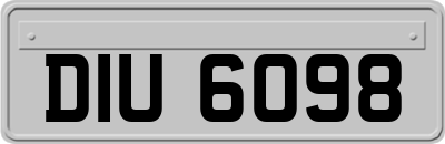 DIU6098