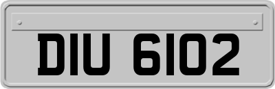 DIU6102