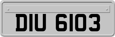 DIU6103