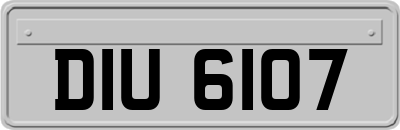 DIU6107