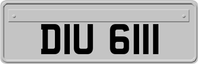 DIU6111