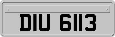 DIU6113
