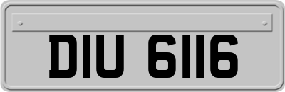 DIU6116