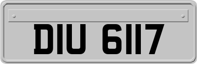 DIU6117