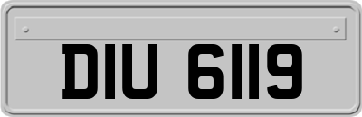 DIU6119