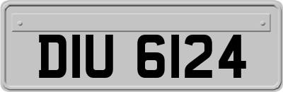 DIU6124