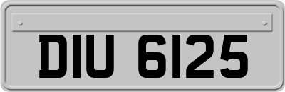 DIU6125