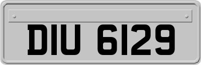 DIU6129