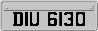 DIU6130