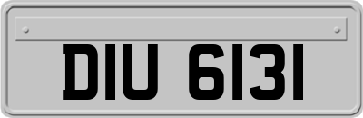 DIU6131