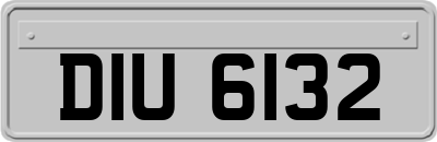 DIU6132