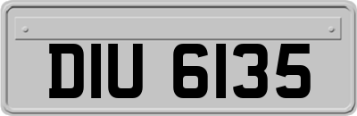 DIU6135