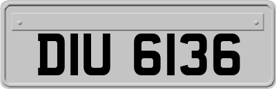 DIU6136
