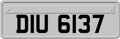 DIU6137