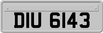DIU6143