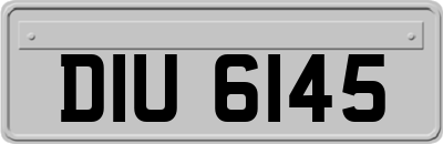 DIU6145