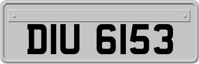 DIU6153