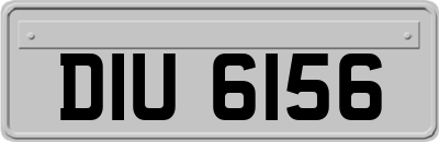 DIU6156