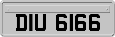 DIU6166