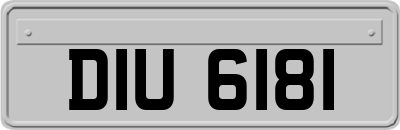DIU6181