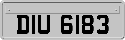 DIU6183