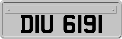 DIU6191