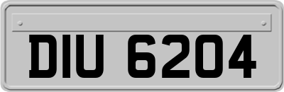 DIU6204