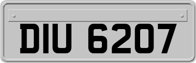 DIU6207
