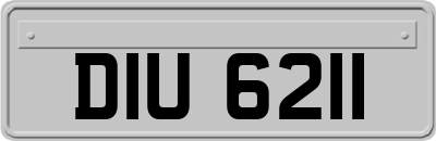 DIU6211