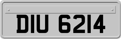 DIU6214