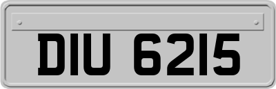 DIU6215