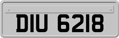 DIU6218