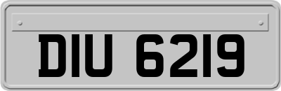 DIU6219