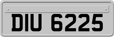 DIU6225