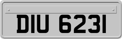 DIU6231