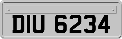 DIU6234