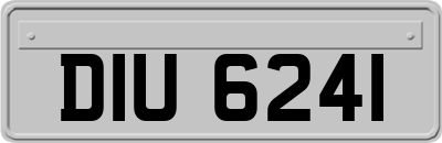 DIU6241