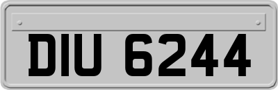 DIU6244